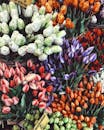 Vibrant tulip bouquet display in Amsterdam's flower market, showcasing a burst of colors.